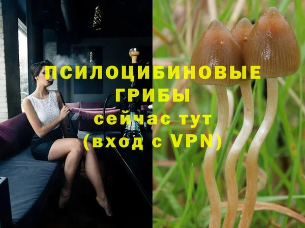 соль курить ск Алексин