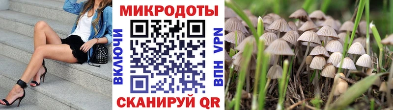 Псилоцибиновые грибы GOLDEN TEACHER  где можно купить   Чусовой 